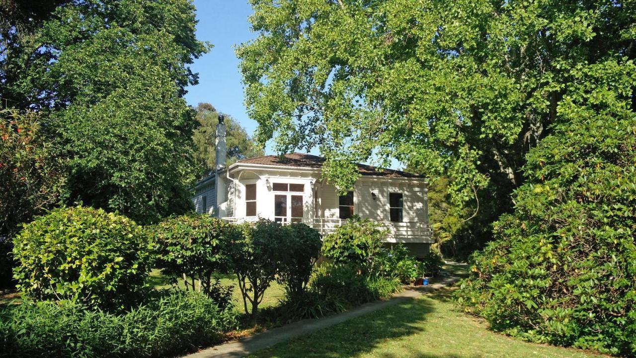 Elegant Villa Nestled In The Trees Nelson Exterior photo